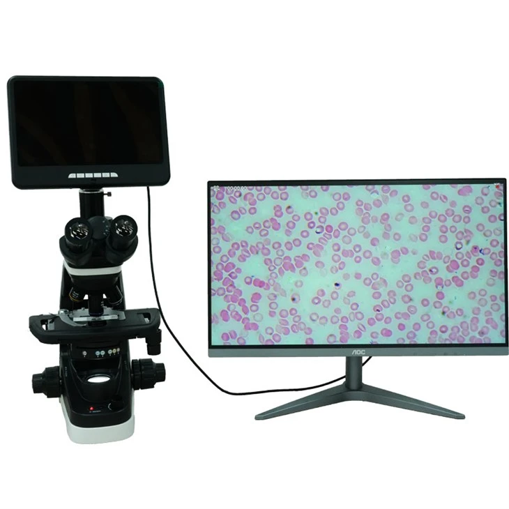 microscope 800T with 10inch microscope  (6)